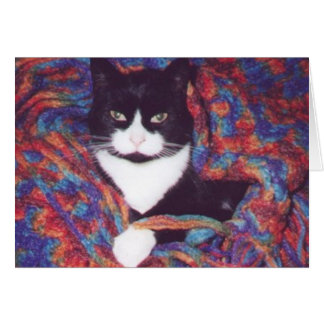 "ダグのアフガニスタン人のTiki "