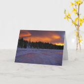 ダグベネット著火及び氷 カード (黄色い花)