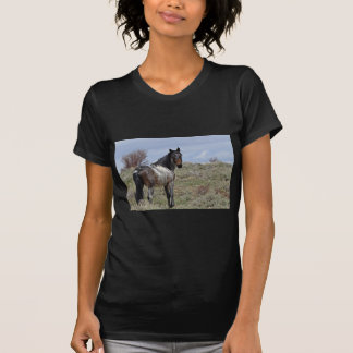 ダグラスまたはPiceance東のHMAの種馬 Tシャツ