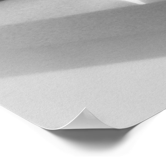 ダグラスバイク ポスター (角)