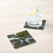 ダグラスモミの木のキャノピー スクエアペーパーコースター (インサイチュ)