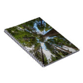 ダグラスモミの木のキャノピー ノートブック (右側)