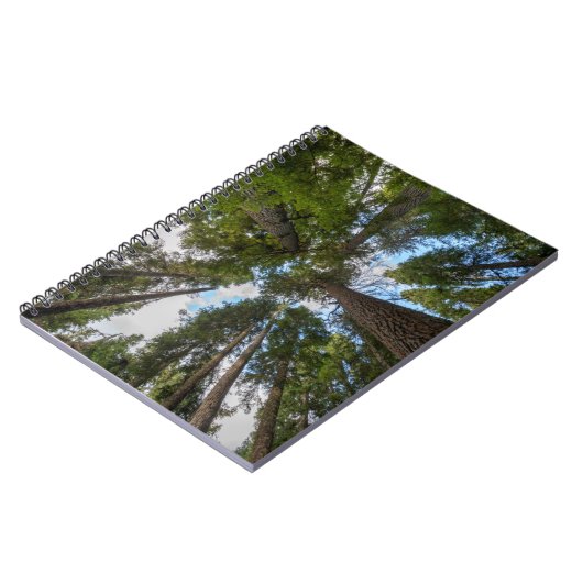 ダグラスモミの木のキャノピー ノートブック (左側)