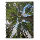 ダグラスモミの木のキャノピー ノートブック (正面)