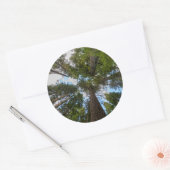 ダグラスモミの木の天蓋 ラウンドシール (封筒)