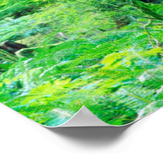 ダグラスモミの木 ポスター (角)