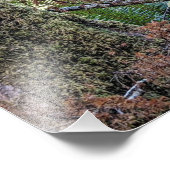 ダグラスモミ針葉樹林 フォトプリント            (角)