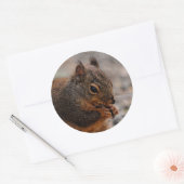 ダグラス忙しリス ラウンドシール (封筒)