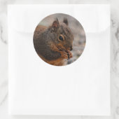 ダグラス忙しリス ラウンドシール (バッグ)