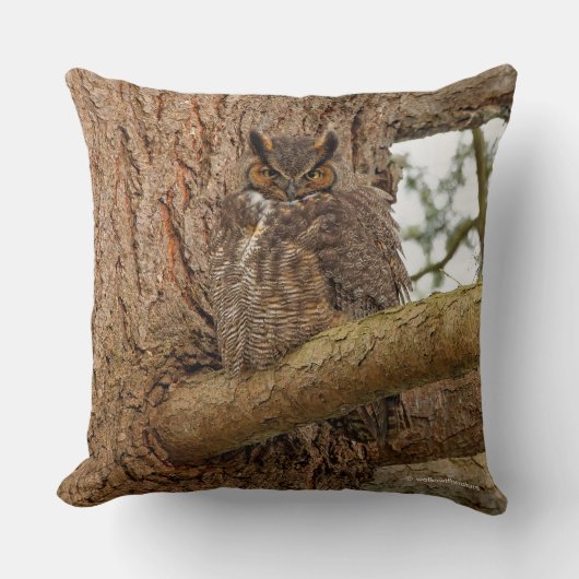 ダグラス素晴らしモミの角のフクロウ クッション (正面)
