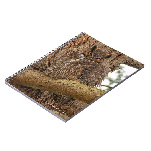 ダグラス素晴らしモミの角のフクロウ ノートブック (左側)