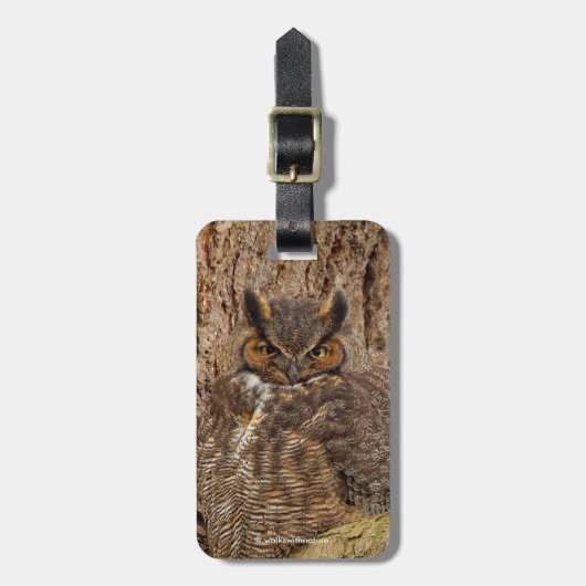 ダグラス素晴らしモミの角のフクロウ ラゲッジタグ (正面縦)