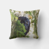 ダグラス・モミのハゲ・イーグル クッション (裏面)