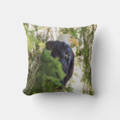 ダグラス・モミのハゲ・イーグル クッション (正面)