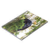 ダグラス・モミのハゲ・イーグル ノートブック (左側)