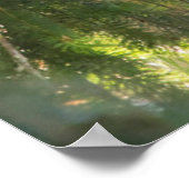 ダグラス・モミのハゲ・イーグル ポスター (角)