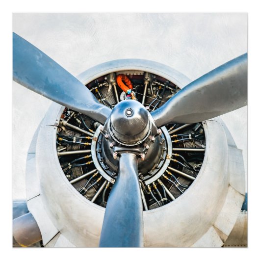 ダグラスDC-3航空機。プロペラ フォトプリント            (正面)