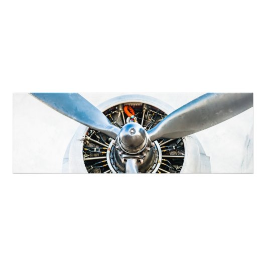 ダグラスDC-3航空機。プロペラ フォトプリント            (正面)