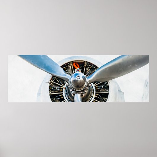 ダグラスDC-3航空機。プロペラ ポスター (正面)
