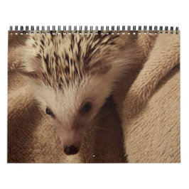 ダコタ、ギズモ及び友人! カレンダー