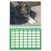 ダコタ、ギズモ及び友人! カレンダー (3月 2026)