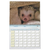 ダコタ、ギズモ及び友人! カレンダー (1月 2026)