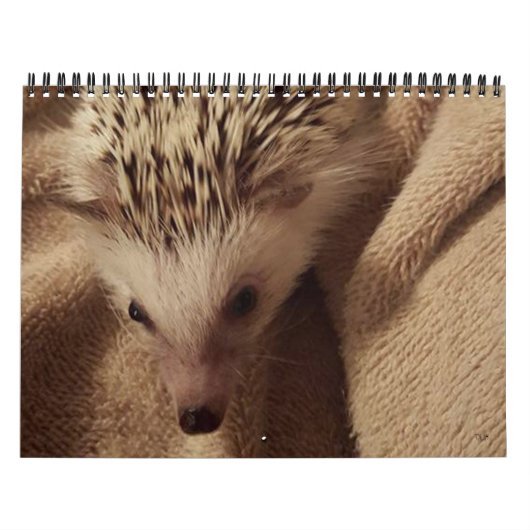 ダコタ、ギズモ及び友人! カレンダー (カバー)