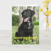 ダコタ – ハッピーバースデーカード カード (黄色い花)