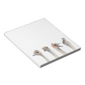 ダシおもしろいズ水彩イラストレーション ノートパッド (アングル)