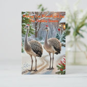 ダシフレンドリーン 招待状 (スタンド正面)