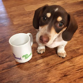 ダシュンダコーヒーマグウィーナードクトキシーラブ コーヒーマグカップ