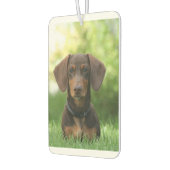 ダシュントが草の中に座る カーエアーフレッシュナー (左)