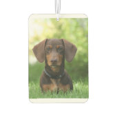 ダシュントが草の中に座る カーエアーフレッシュナー (裏面)