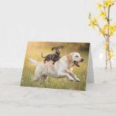 ダシュントとゴールデンレトリエバーカード カード (黄色い花)