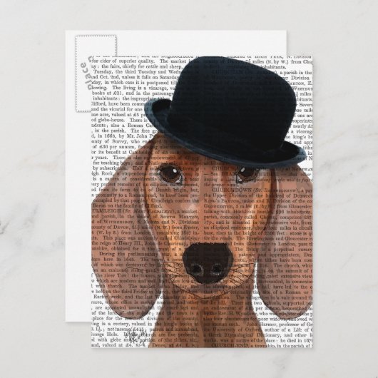 ダシュントとブラックボウリングをする人、 クリケットの投手帽子 ポストカード (正面/裏面)