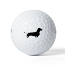 ダシュントのシルエット