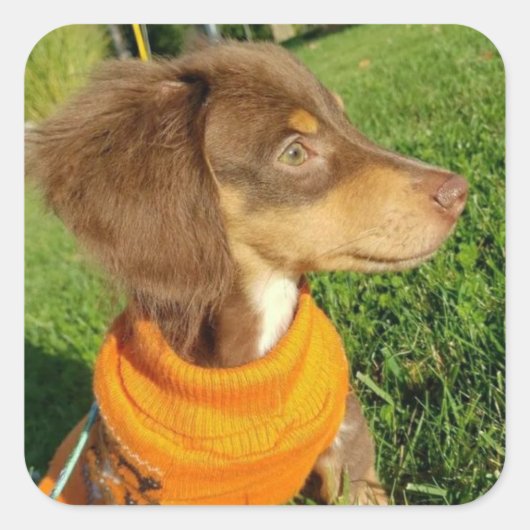 ダシュントのシール スクエアシール (正面)