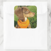 ダシュントのシール スクエアシール (バッグ)