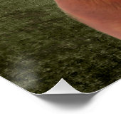 ダシュントのポスター ポスター (コーナー)