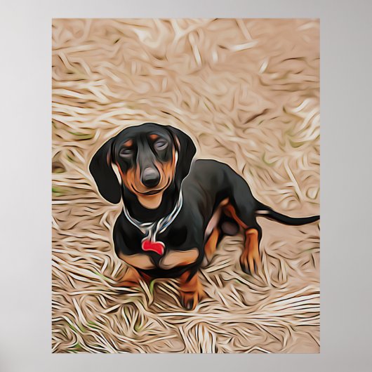 ダシュントの子犬がカメラを見る ポスター (正面)