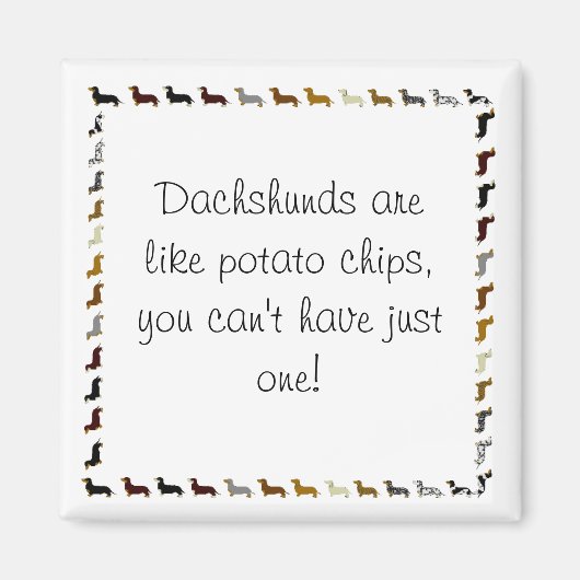 ダシュントは1つしかない マグネット (正面)