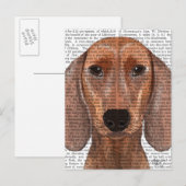 ダシュントイラストレーションプレーン ポストカード (正面/裏面)