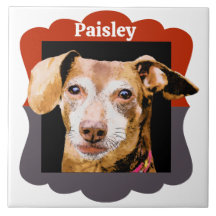 ダシュントカスタマイズパターン写真フレーム