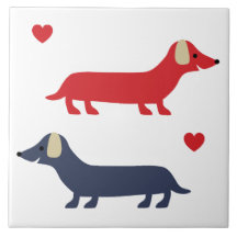 ダシュントカラフルドッグドキシーと前足1