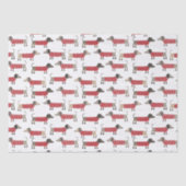 ダシュントソーセージウィナードグホリデー 薄葉紙 (正面)