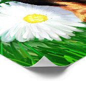 ダシュントデイジーパッチB&Tポスター ポスター (角)