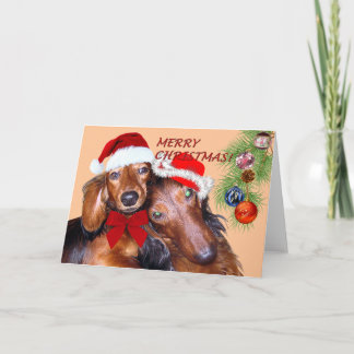 ダシュントデザインクリスマスカード シーズンカード