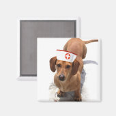 ダシュントナース磁石 マグネット (正面/裏面)