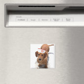 ダシュントナース磁石 マグネット (インサイチュ (食洗機))