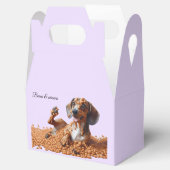 ダシュントパーティー フェイバーボックス (オープン)